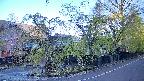 area4-20250501061041.jpg