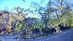 area4-20250501062041.jpg