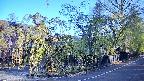 area4-20250501063042.jpg