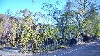 area4-20250501064042.jpg