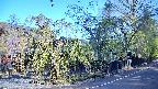 area4-20250501065041.jpg