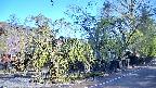 area4-20250501070041.jpg