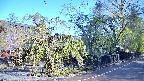 area4-20250501071041.jpg