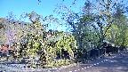 area4-20250501072041.jpg