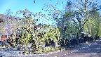 area4-20250501073041.jpg