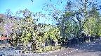 area4-20250501074041.jpg