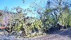 area4-20250501075041.jpg