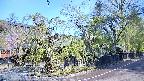 area4-20250501080041.jpg