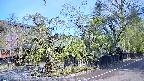area4-20250501081040.jpg