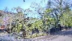 area4-20250501082041.jpg