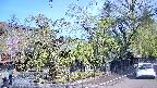 area4-20250501083042.jpg