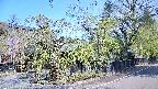 area4-20250501085039.jpg