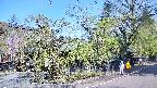 area4-20250501090040.jpg