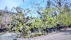 area4-20250501095039.jpg