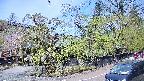 area4-20250501100041.jpg