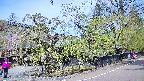 area4-20250501101040.jpg