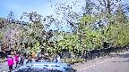 area4-20250501102039.jpg