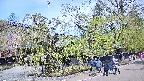 area4-20250501103039.jpg