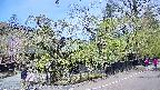 area4-20250501104040.jpg