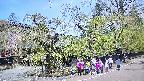 area4-20250501105041.jpg