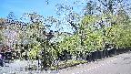 area4-20250501112040.jpg