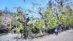 area4-20250501113040.jpg