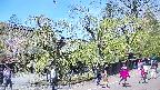 area4-20250501114039.jpg