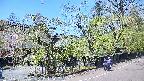 area4-20250501115039.jpg