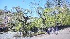 area4-20250501120039.jpg
