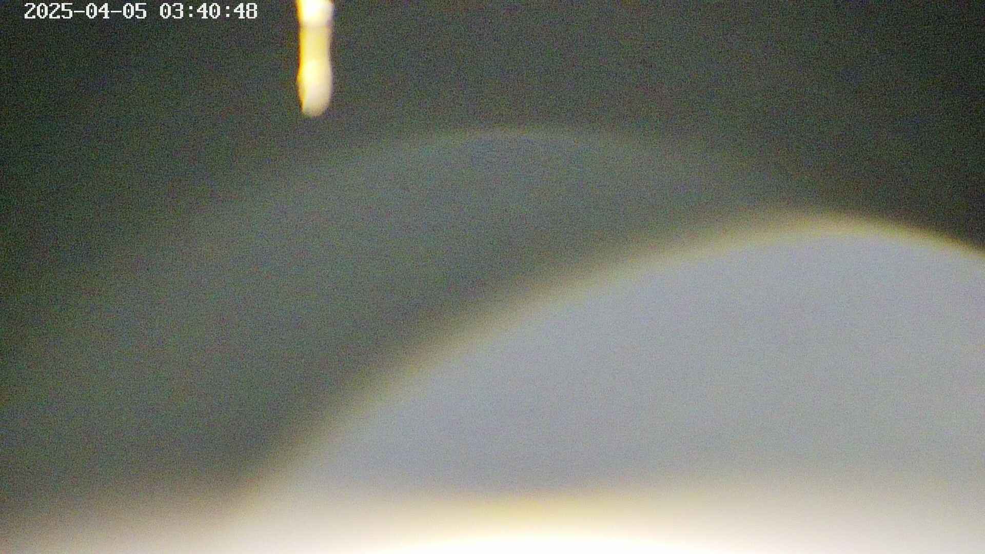 area5-20250405034051.jpg