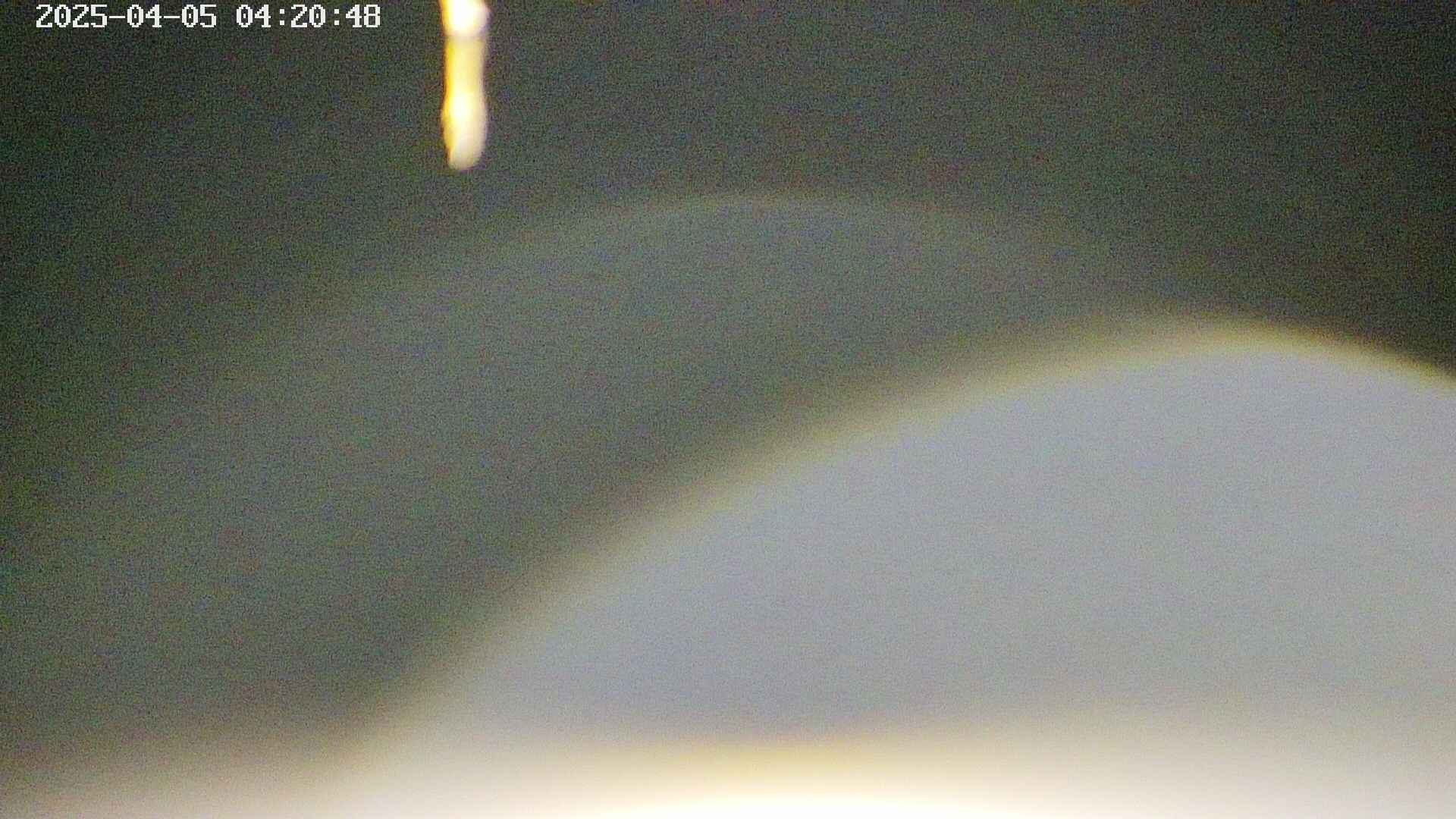 area5-20250405042052.jpg