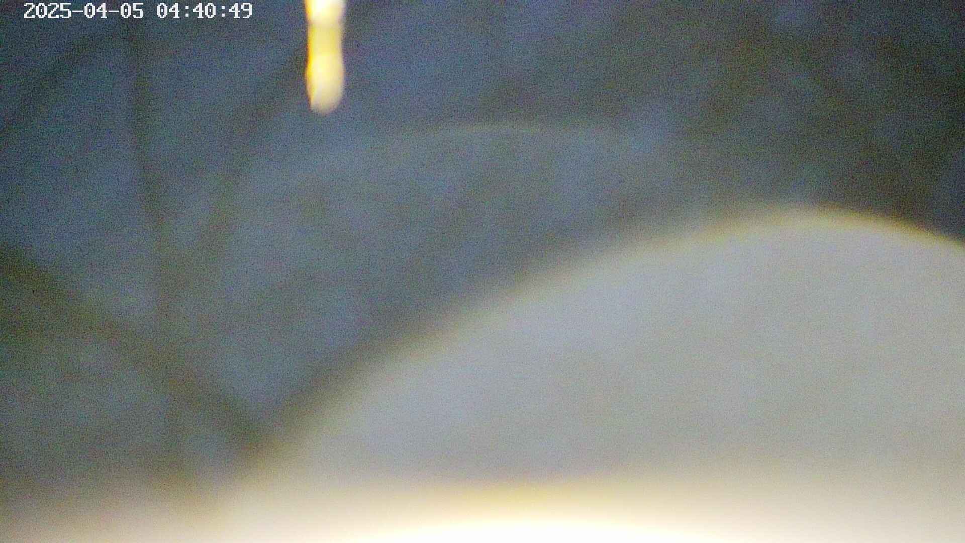 area5-20250405044052.jpg