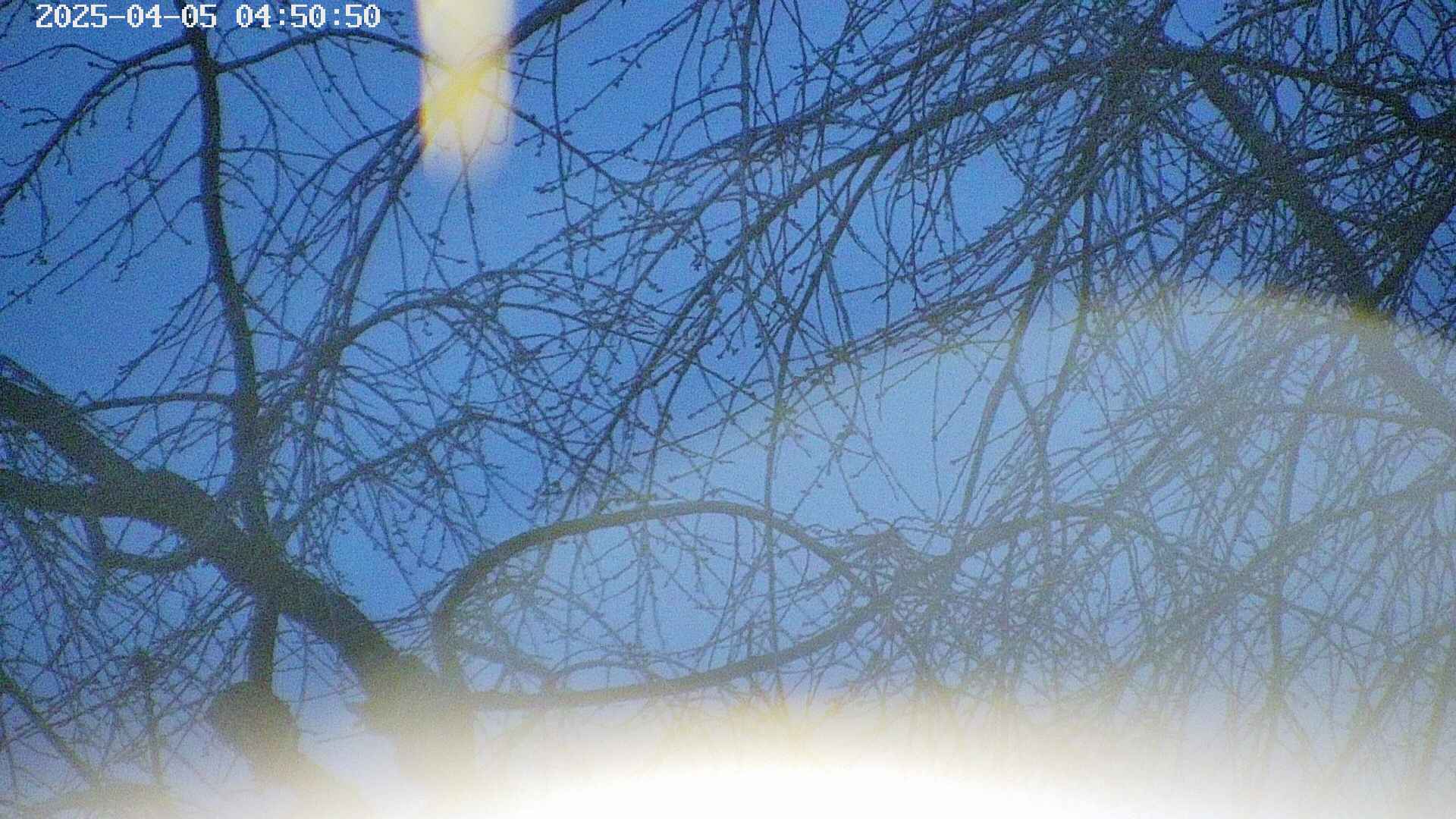 area5-20250405045054.jpg