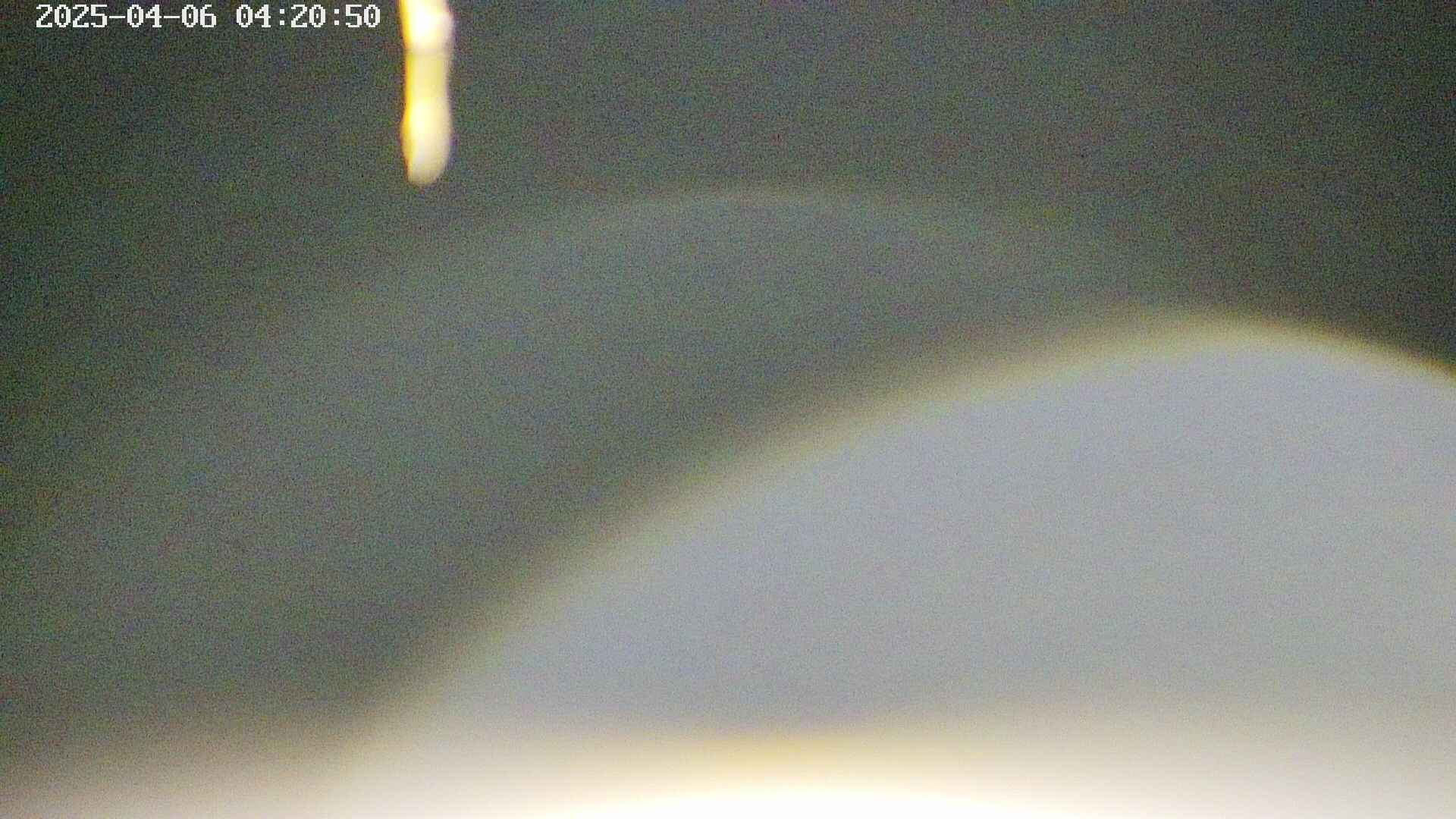 area5-20250406042053.jpg