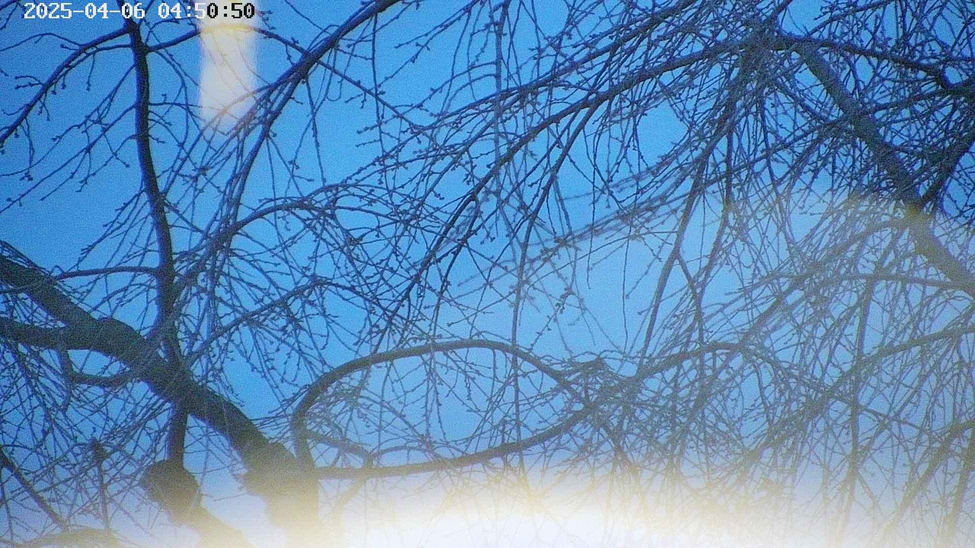 area5-20250406045054.jpg