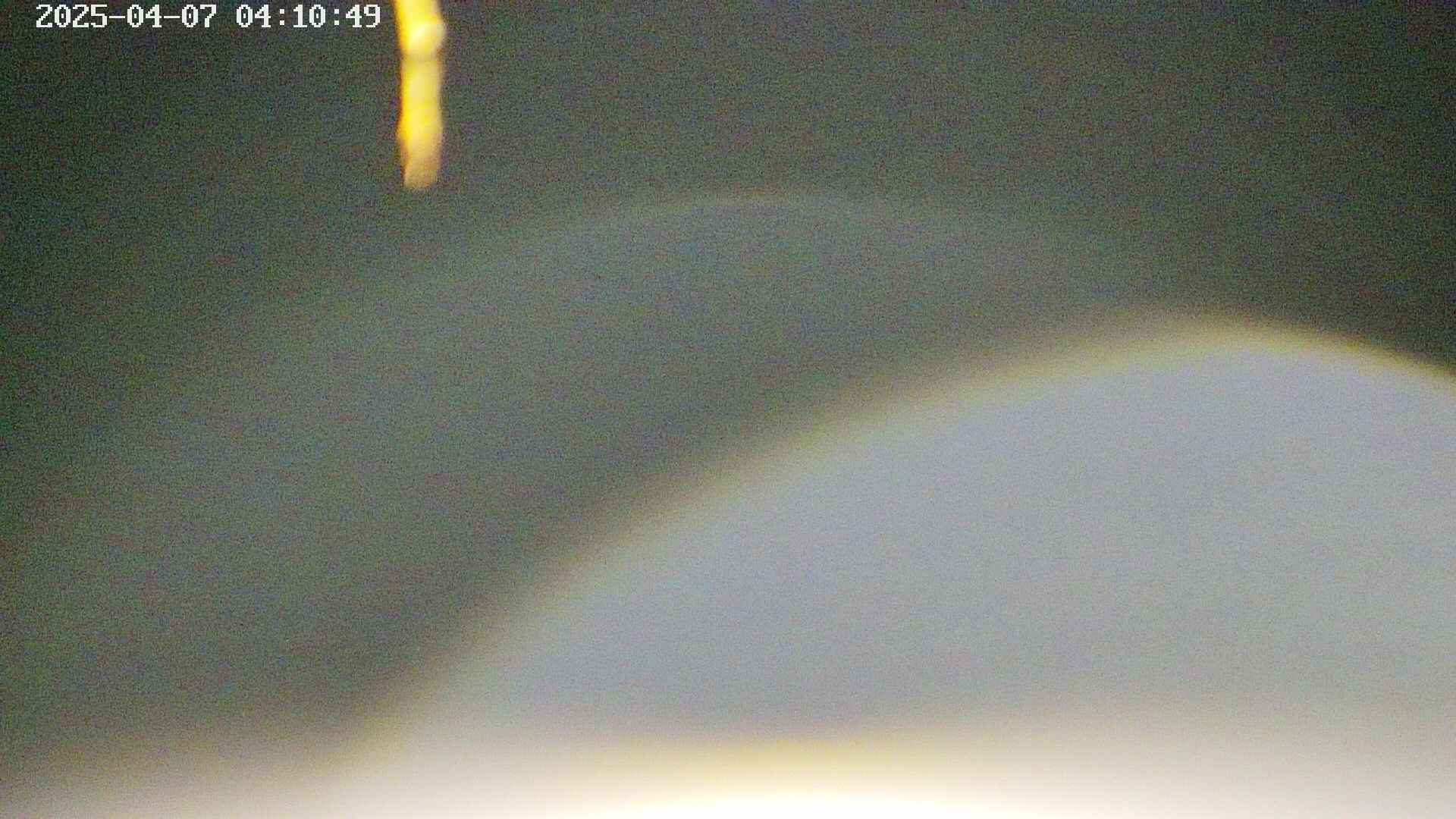area5-20250407041052.jpg