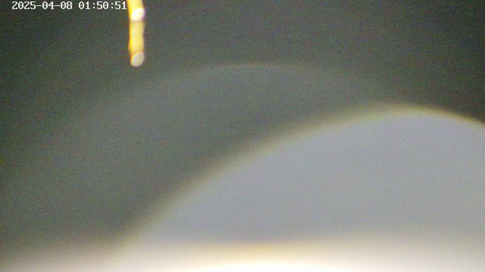 area5-20250408015055.jpg