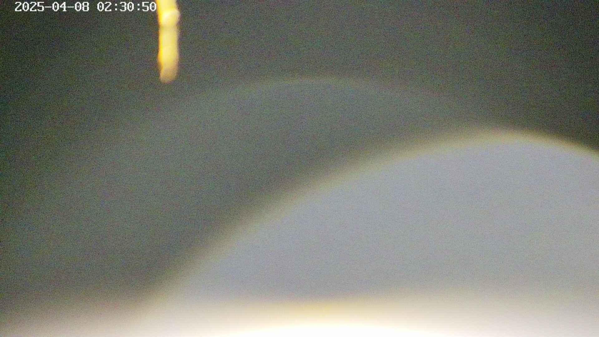 area5-20250408023054.jpg