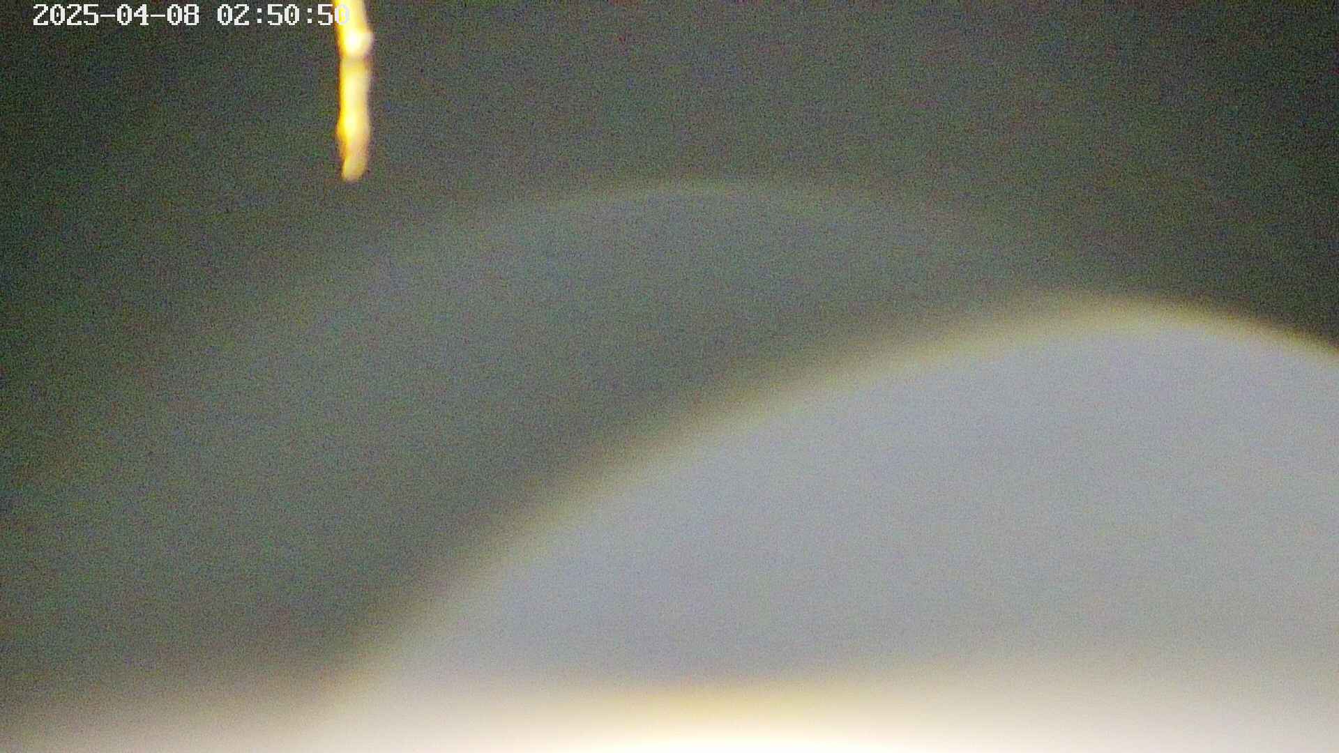 area5-20250408025053.jpg