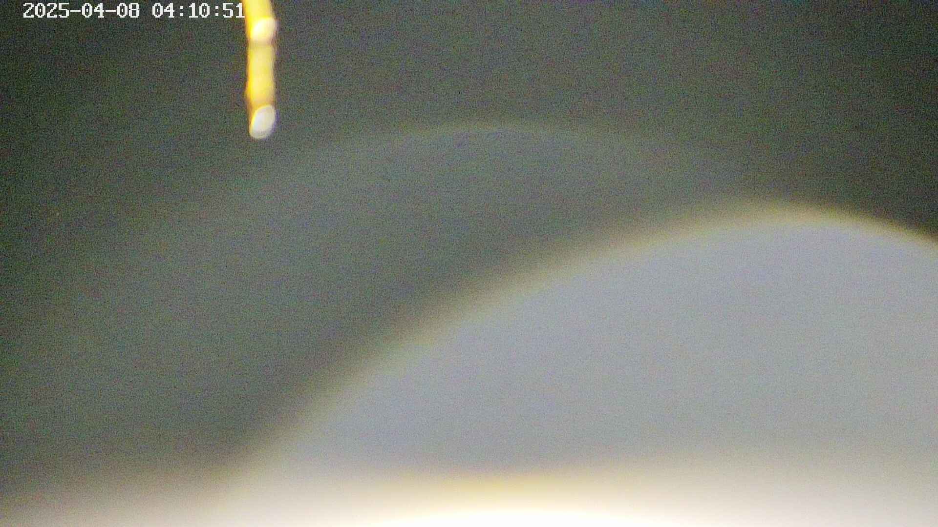 area5-20250408041054.jpg