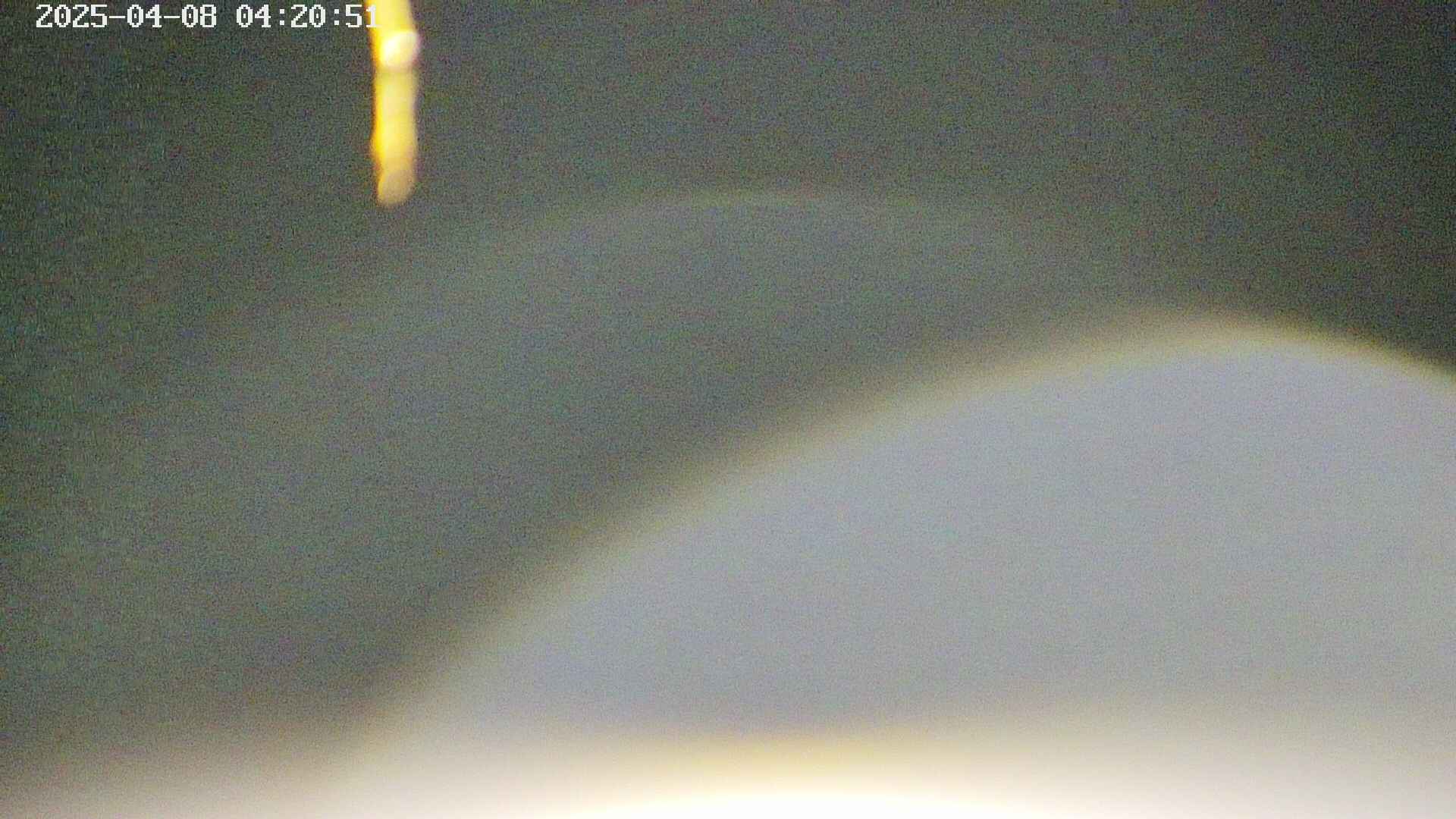 area5-20250408042054.jpg
