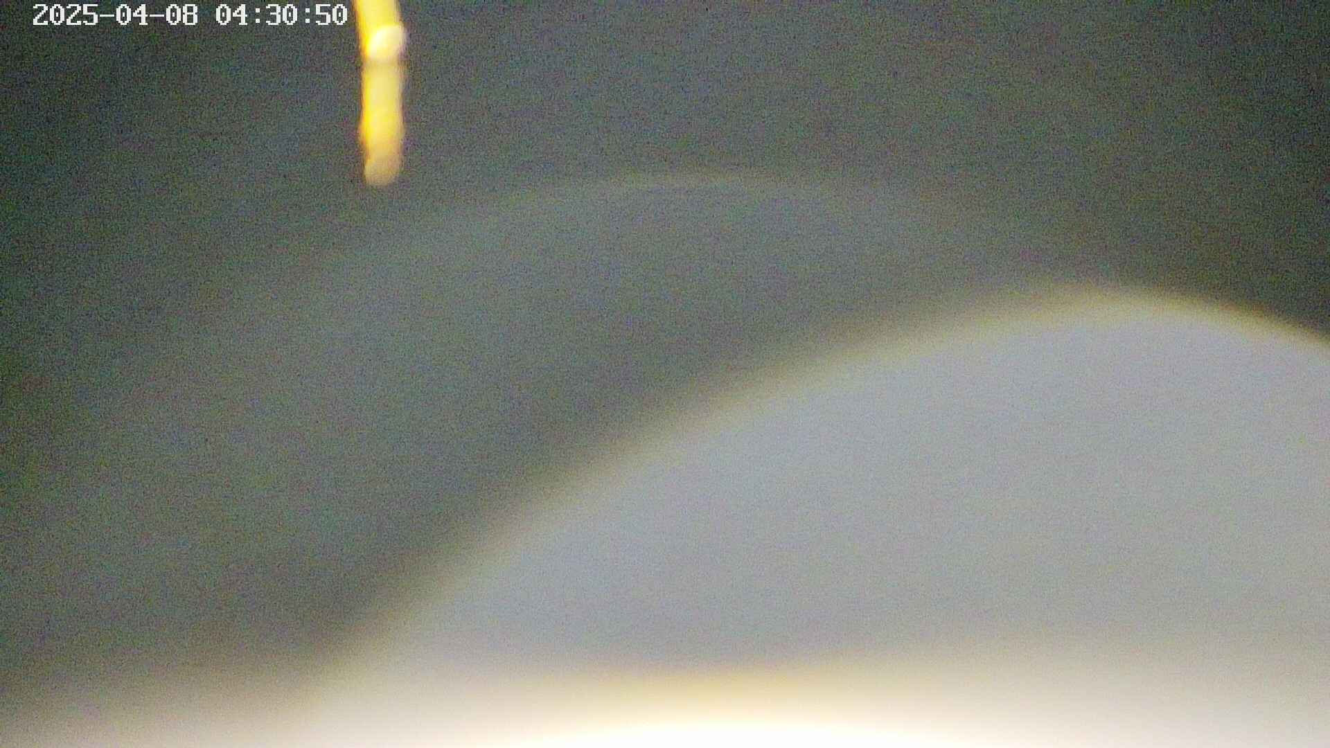 area5-20250408043054.jpg