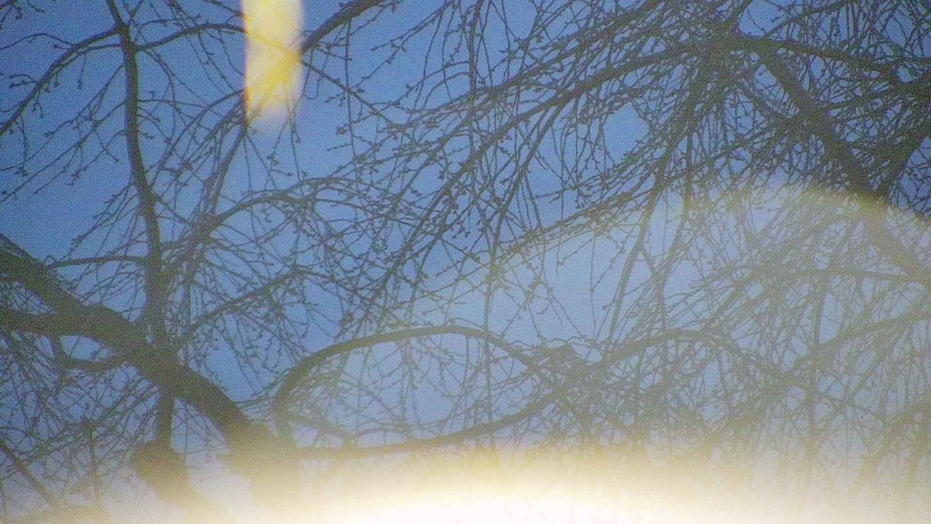 area5-20250410044054.jpg