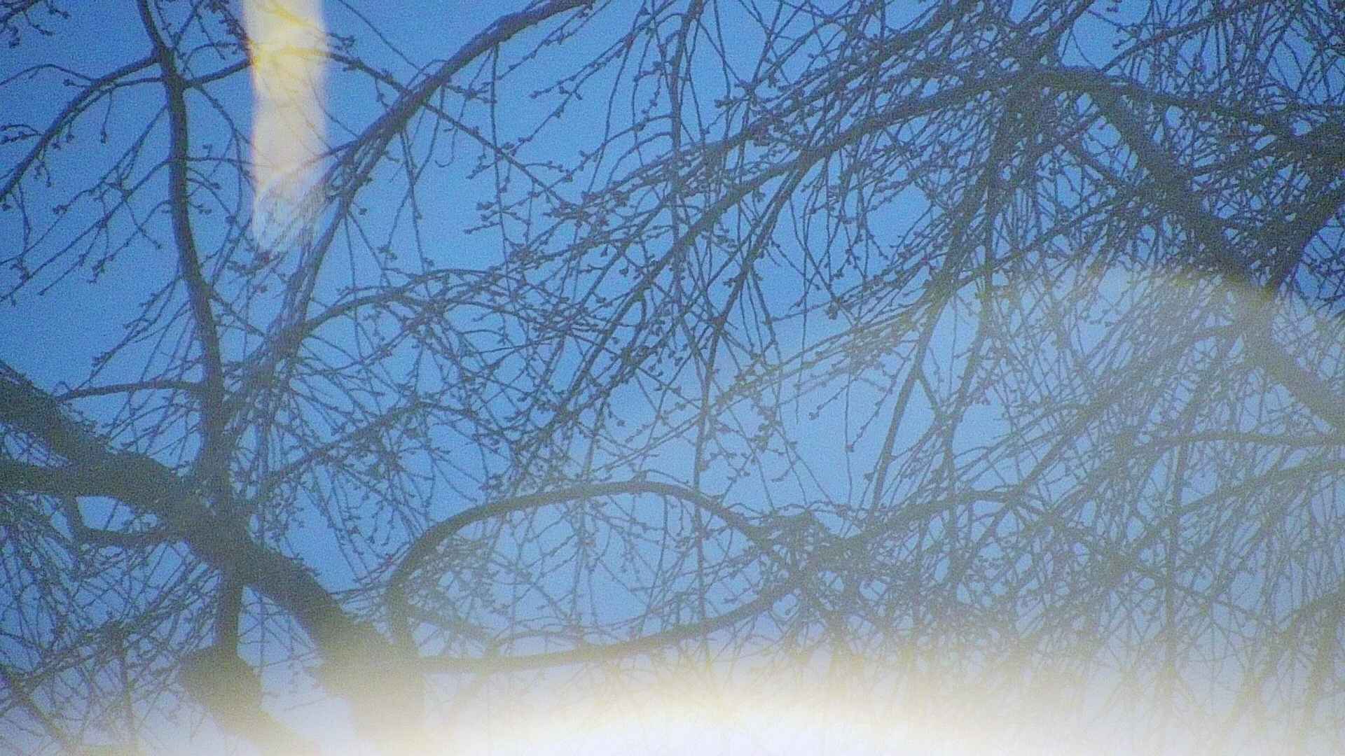 area5-20250411045054.jpg