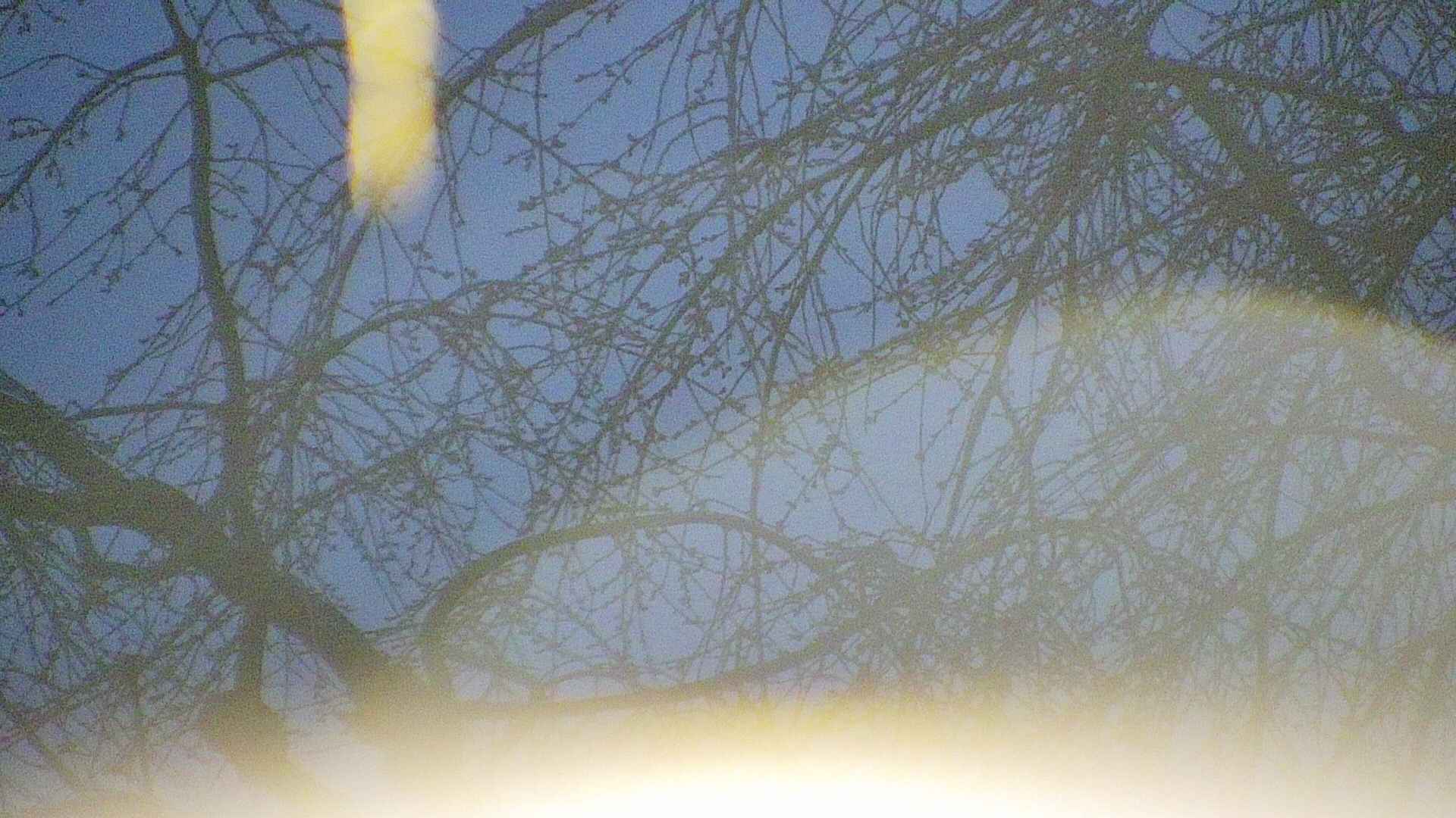 area5-20250412044054.jpg