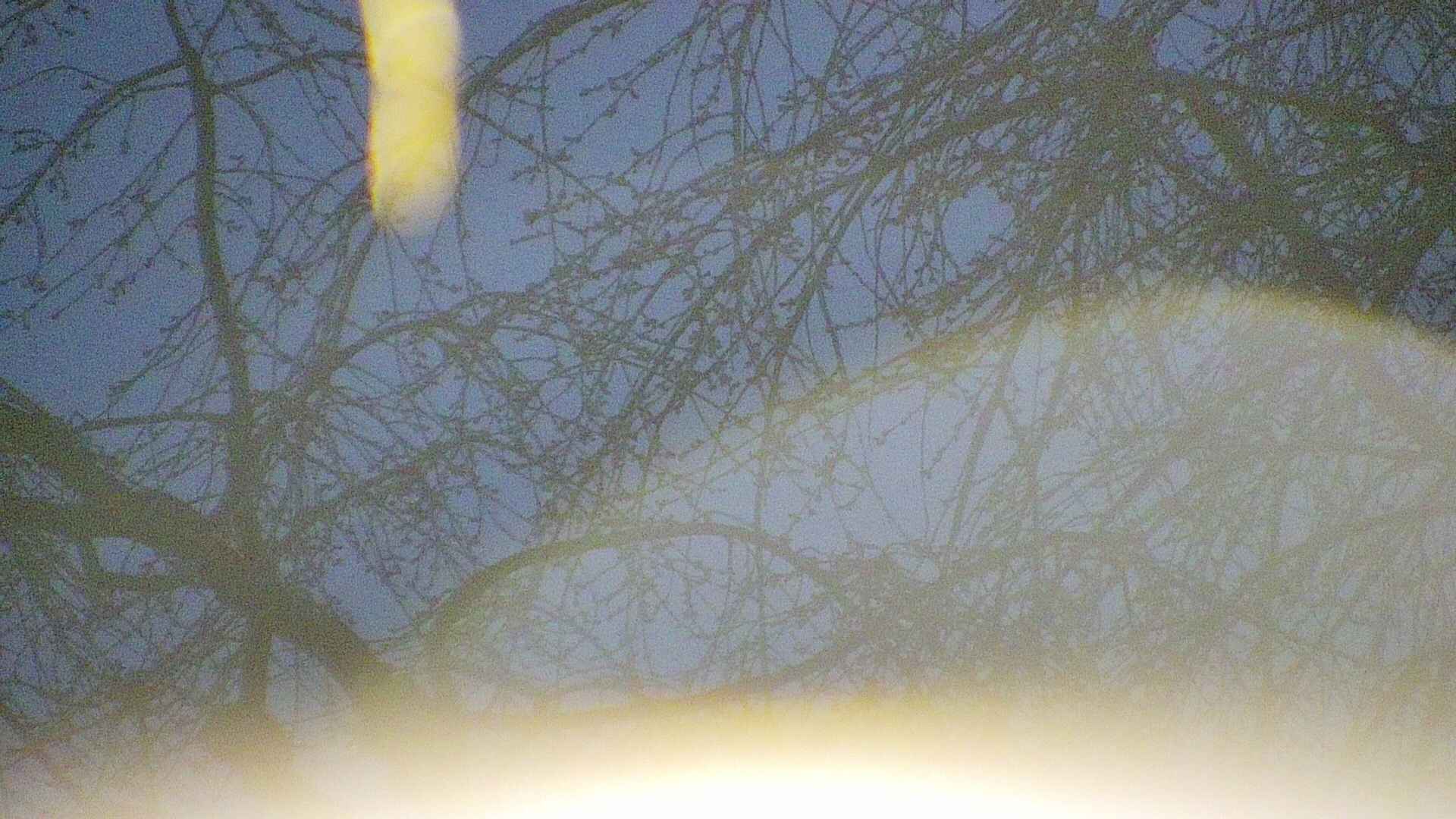 area5-20250413043054.jpg