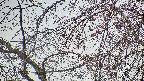 area5-20250413124055.jpg