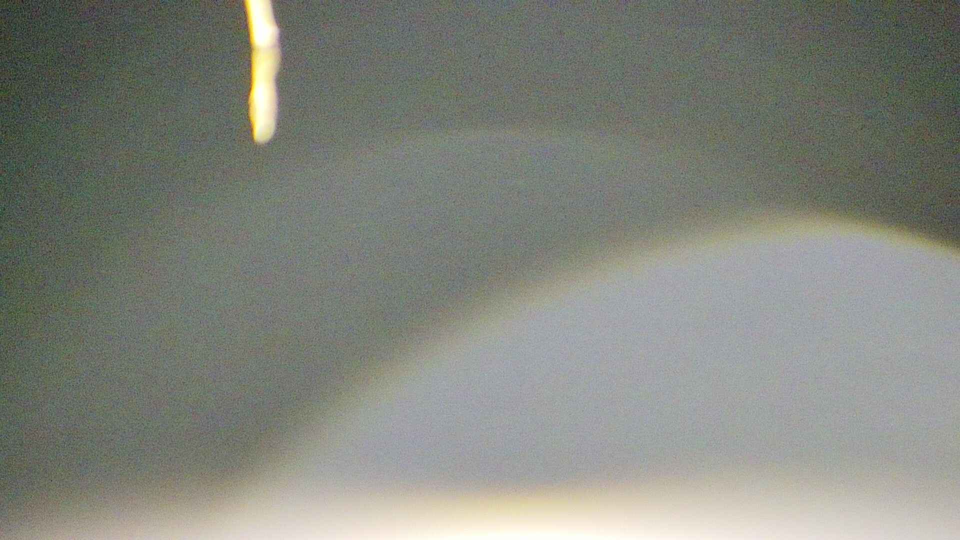 area5-20250414022055.jpg