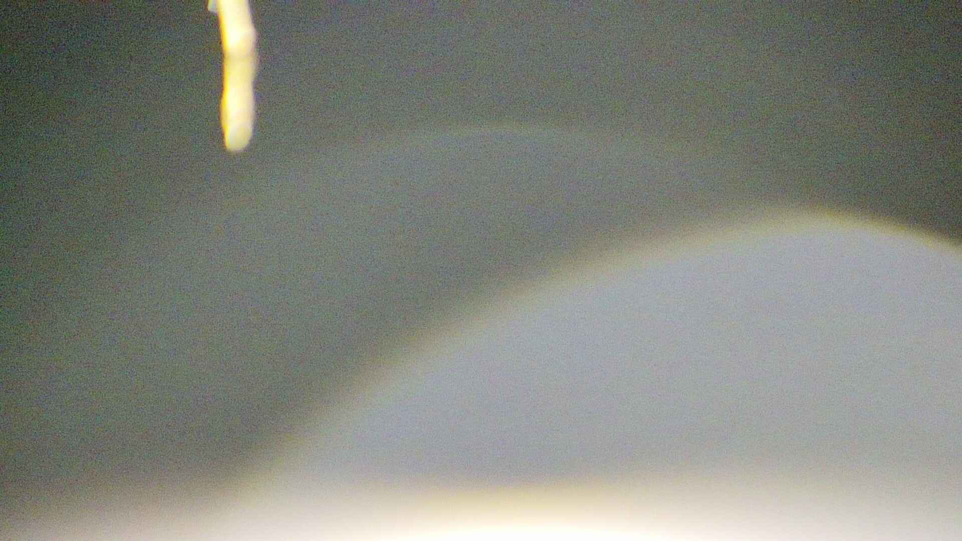 area5-20250414041054.jpg