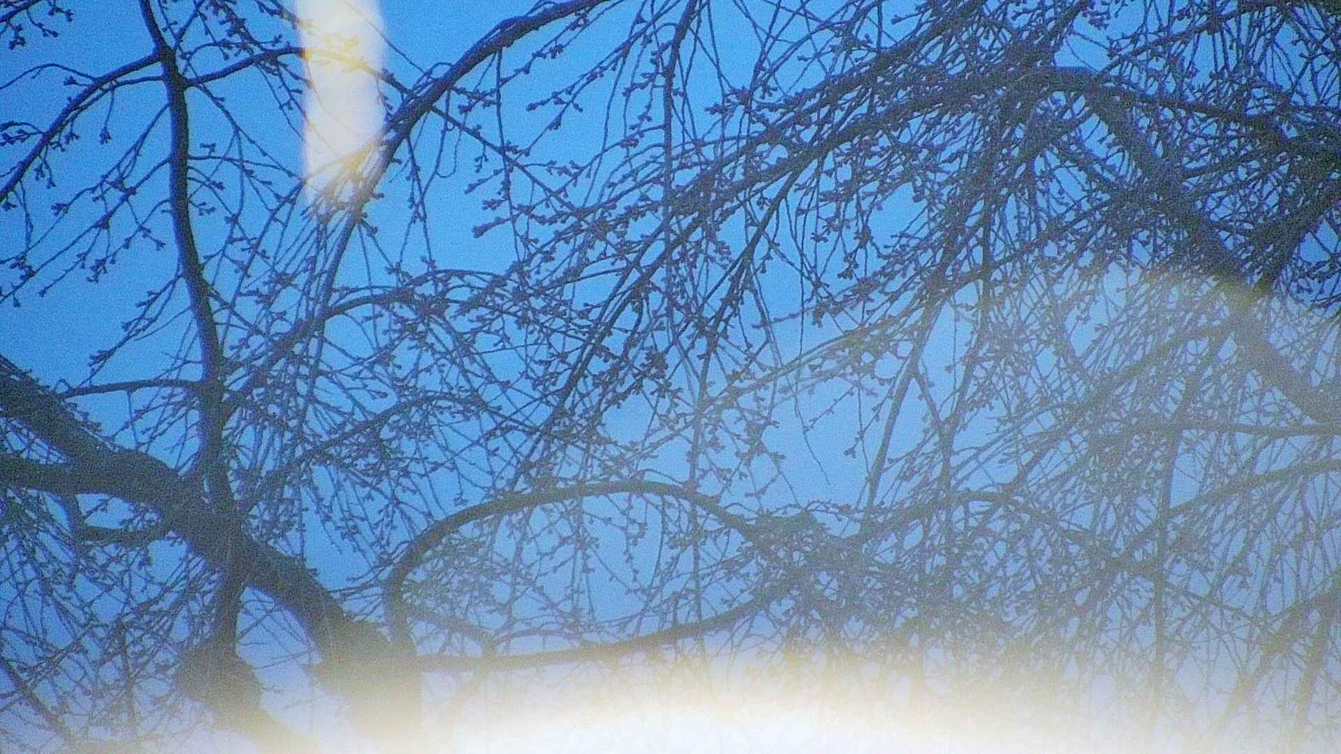 area5-20250414044052.jpg